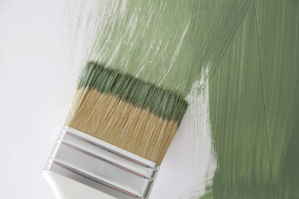 Best Black Mold Removal  in Belle Meade, TN
