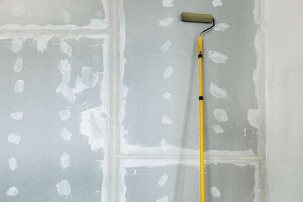 Best Mold Removal for HVAC Installations  in Belle Meade, TN