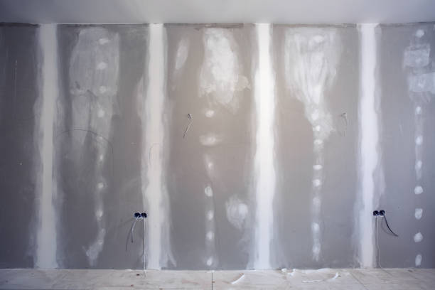 Mold Removal for HVAC Installations in Belle Meade, TN